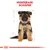 Royal Canin German Shepherd Puppy
