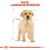 Race: Labrador Retriever. Illustration af en lysegul hundehvalp med målelinjer omkring kroppen, Royal Canin krone nederst.