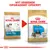 Royal Canin Shih Tzu Junior og Puppy hundefoderposer med teksten 'NYT UDSEENDE OPGRADERET OPSKRIFT' samt synlig ændring af emballagedesign.