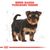 Royal Canin Yorkshire Terrier Puppy