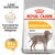 Royal Canin Dermacomfort Maxi hundefoder. Formuleret for at reducere allergener. Dokumenteret effekt: 91 % tilfredse ejere efter 2 måneder. Care Nutrition synlig på emballagen. Royal Canin Dermacomfort Maxi hundefoder. Formuleret for at reducere allergener. Dokumenteret effekt: 91 % tilfredse ejere efter 2 måneder. Care Nutrition synlig på emballagen.