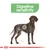 Illustration of a dog with highlighted stomach area and the text 'Digestive sensitivity', indicating focus on digestive health.