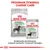 ROYAL CANIN DIGESTIVE CARE MAXI karma sucha i mokra, opakowania z widocznymi psami. Napis: Doskonała kombinacja naszych suchych i mokrych receptur.