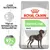 Royal Canin Digestive Care Maxi. Trägt zur Verbesserung der Stuhlqualität bei. Nachweisbare Ergebnisse bis zu 97% optimale Stuhlqualität. Royal Canin Digestive Care Maxi. Trägt zur Verbesserung der Stuhlqualität bei. Nachweisbare Ergebnisse bis zu 97% optimale Stuhlqualität.