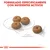Cuatro croquetas redondas de pienso, diámetro aproximado 1 cm. Texto: Formulado específicamente con nutrientes activos.