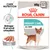 ROYAL CANIN URINARY CARE ALL SIZES, 85 g x12. Care Nutrition. Bidrager til et sundt urinsystem. Paté. Billede af hund og paté på tallerken. ROYAL CANIN URINARY CARE ALL SIZES, 85 g x12. Care Nutrition. Bidrager til et sundt urinsystem. Paté. Billede af hund og paté på tallerken.