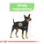 Illustration av hund med texten 'Känslig matsmältning' i grönt fält ovanför samt markering på magen.