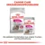 Royal Canin Exigent Mini Trockenfutter und Exigent All Sizes Feuchtnahrung. Perfekte Kombination aus Trocken- und Feuchtnahrung für wählerische Hunde. Canine Care Ernährungsprogramm.