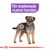 Royal Canin Sterilised mousse