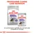 Royal Canin Sterilised Mini croquettes et sachet Sterilised All Sizes 85 g, texte : Programme Canine Care Nutrition, la combinaison parfaite de nos formules croquette et mousse