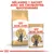 ROYAL CANIN British Shorthair Adult, sac de croquettes et sachet 85 g. Texte : Mélangez 1 sachet avec ses croquettes quotidiennes.