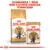 Royal Canin Adult British Shorthair torrfoder och våtfoder 85 g. Text: Kombinera 1 påse med kattens dagliga torrfoder.