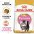Royal Canin Kitten Persian, croqueta a medida, crecimiento saludable y pelaje largo. Texto en inglés: Breed Nutrition. Imagen de gatito persa en el envase. Royal Canin Kitten Persian, croqueta a medida, crecimiento saludable y pelaje largo. Texto en inglés: Breed Nutrition. Imagen de gatito persa en el envase.