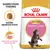 Royal Canin Kitten Maine Coon kattenvoer, rasspecifieke voeding. Tekst: Specifiek afgestemde brokken, Gezonde en lange groeiperiode. Royal Canin Kitten Maine Coon kattenvoer, rasspecifieke voeding. Tekst: Specifiek afgestemde brokken, Gezonde en lange groeiperiode.