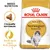 Sachet Royal Canin Adult Norwegian Forest Cat, croquette sur-mesure, santé de la peau & du pelage, Breed Nutrition. Chat norvégien illustré sur l’emballage.