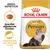 Royal Canin Adult Persian kattenvoer, afbeelding van brok, tekst: Specifiek afgestemde brokken, Gezondheid van de lange vacht, Breed Nutrition, verpakking met Perzische kat.
