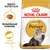 ROYAL CANIN ADULT Perser kattefoder, tekst: Breed Nutrition, Skræddersyet foderpille, Sund lang pels. Billede af foderpille og perserkat på posen. ROYAL CANIN ADULT Perser kattefoder, tekst: Breed Nutrition, Skræddersyet foderpille, Sund lang pels. Billede af foderpille og perserkat på posen.
