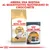 ROYAL CANIN Ragdoll Adult crocchette e ROYAL CANIN Intense Beauty bustina 85 g. Testo: Abbina una bustina al quantitativo quotidiano di crocchette.