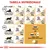 Tabella nutrizionale Royal Canin: dosi giornaliere di crocchette e bustine per gatti sedentari o attivi da 3 a 6 kg. Include opzione solo crocchette o crocchette più bustina Intense Beauty.