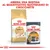 ROYAL CANIN Sphynx Adult crocchette e ROYAL CANIN Intense Beauty bustina 85 g. Testo: Abbina una bustina al quantitativo quotidiano di crocchette.