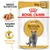 Royal Canin Adult British Shorthair wet food, 85g x12. Features: breed nutrition, adapted texture, moderate energy. Image shows product pouch, food pieces, and a British Shorthair cat.
