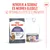 Royal Canin Appetite Control Care AirLift Mousse