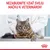 NEZABUDNITE VZIAŤ SVOJU MAČKU K VETERINÁROVI