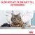 GLÖM INTE ATT TA DIN KATT TILL VETERINÄREN