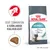 ROYAL CANIN HAIRBALL macskaeledel csomagolás, szöveg: Segít csökkenteni a szőrlabdák kialakulását. Reduces hairball formation in 14 days. Egy szem eledel is látható. ROYAL CANIN HAIRBALL macskaeledel csomagolás, szöveg: Segít csökkenteni a szőrlabdák kialakulását. Reduces hairball formation in 14 days. Egy szem eledel is látható.