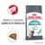 Royal Canin Hairball Care Royal Canin Hairball Care