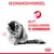 Gezondheidsvoordeel: helpt haarbalvorming te verminderen. Royal Canin merknaam zichtbaar, afbeelding van een kat die zichzelf wast.