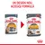 Royal Canin Care Intense Beauty 85g, ambalaj vechi și nou: Intense Beauty devine Hair & Skin. Text sus: Un design nou, aceeași formulă.