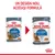 Plicuri Royal Canin Light Weight Care 85g pentru pisici, vechiul și noul design. Text sus: Un design nou, aceeași formulă.