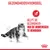 Gezondheidsvoordeel: helpt de gezondheid van de urinewegen te behouden. Afbeelding van een kat en rood pictogram met kat en plas. Tekst in beeld, merk Royal Canin zichtbaar.