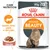 Royal Canin Intense Beauty 85 g x12, salsa, salute della pelle e del pelo, Care Nutrition. Immagine di un gatto a pelo lungo sulla confezione.
