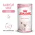 Royal Canin BABYCAT MILK 0–2 months, 3 x 100 g. Fra fødsel til fravænning. Nemt at rekonstituere. Billede af killing på emballagen.