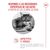 Royal Canin Ageing 15+ en salsa