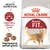 ROYAL CANIN Regular FIT 32, obrázok mačky, text: Health Nutrition, Optimálny výživový profil, Prispôsobená veľkosť granúl, zobrazené granule.