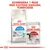 Royal Canin Home Life Indoor Appetite Control torrfoder och Royal Canin Instinctive våtfoder 85 g. Text: Kombinera 1 påse med kattens dagliga torrfoder.