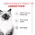 Royal Canin Kitten Mousse