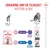 Royal Canin Kitten Sterilised Royal Canin Kitten Sterilised