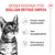 Royal Canin Kitten Sterilized in Jelly