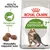 Royal Canin Active Life Outdoor 7+ kissanruoka, pakkauksessa kissa ja teksti: Elinvoiman tueksi, Mukautettu nappulan koko, Health Nutrition