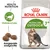 Royal Canin Active Life Outdoor 7+ kattenvoer, afbeelding van kat, tekst: Vitaliteitscomplex, aangepaste brokgrootte, Health Nutrition, verpakking met groene en rode accenten.
