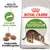 Royal Canin Active Life Outdoor Katzenfutter. Unterstützt aktive Katzen, angepasste Krokettengrösse, Health Nutrition.