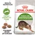 Royal Canin Active Life Outdoor kattfoder, text: Health Nutrition, Främjar aktivitet och rörelse, Anpassad storlek på torrfodret. Bild på foderkulor och katt. Royal Canin Active Life Outdoor kattfoder, text: Health Nutrition, Främjar aktivitet och rörelse, Anpassad storlek på torrfodret. Bild på foderkulor och katt.