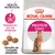 Royal Canin PROTEIN Exigent, preferencia por las proteínas, tamaño de croqueta adaptado. Imagen de croquetas y un gato en el envase. Texto: Health Nutrition, Protein. Royal Canin PROTEIN Exigent, preferencia por las proteínas, tamaño de croqueta adaptado. Imagen de croquetas y un gato en el envase. Texto: Health Nutrition, Protein.