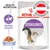 Royal Canin Sterilised, Gelee, stabiles Gewicht, hergestellt in Österreich, Health Nutrition Royal Canin Sterilised, Gelee, stabiles Gewicht, hergestellt in Österreich, Health Nutrition