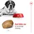 Image shows giant kibble size with a 1 cm scale and text stating 'Giant kibble size to encourage chewing', alongside a food bowl and a large dog.