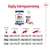 Daglig fodringsanvisning for Royal Canin Maxi Adult: tabel med anbefalet mængde tør- eller vådfoder til hunde på 26, 35 og 44 kg afhængig af aktivitetsniveau. Vægt og gram angivet.